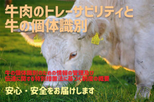 牛肉のトレーサビリティ